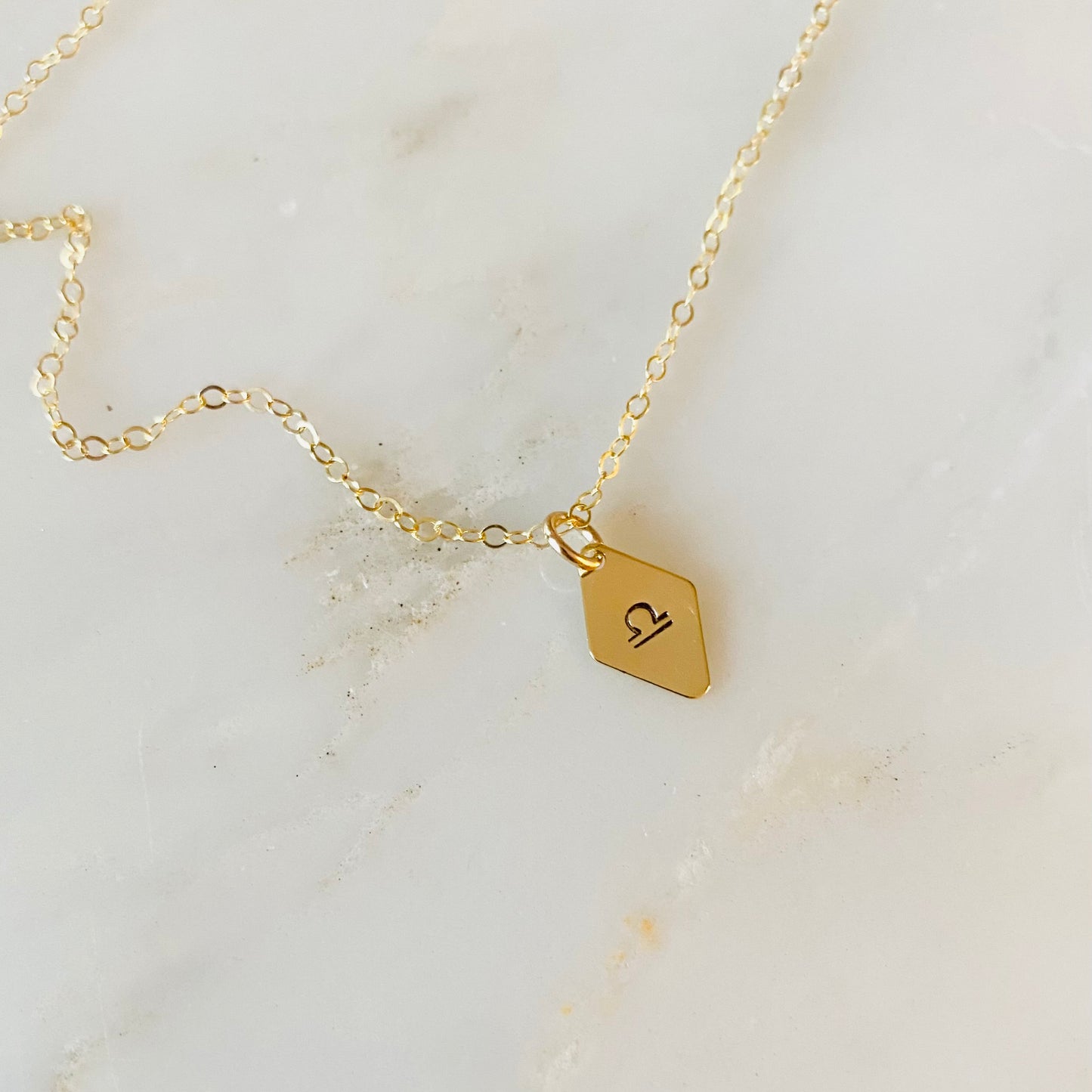 The Zodiac Tag Necklace