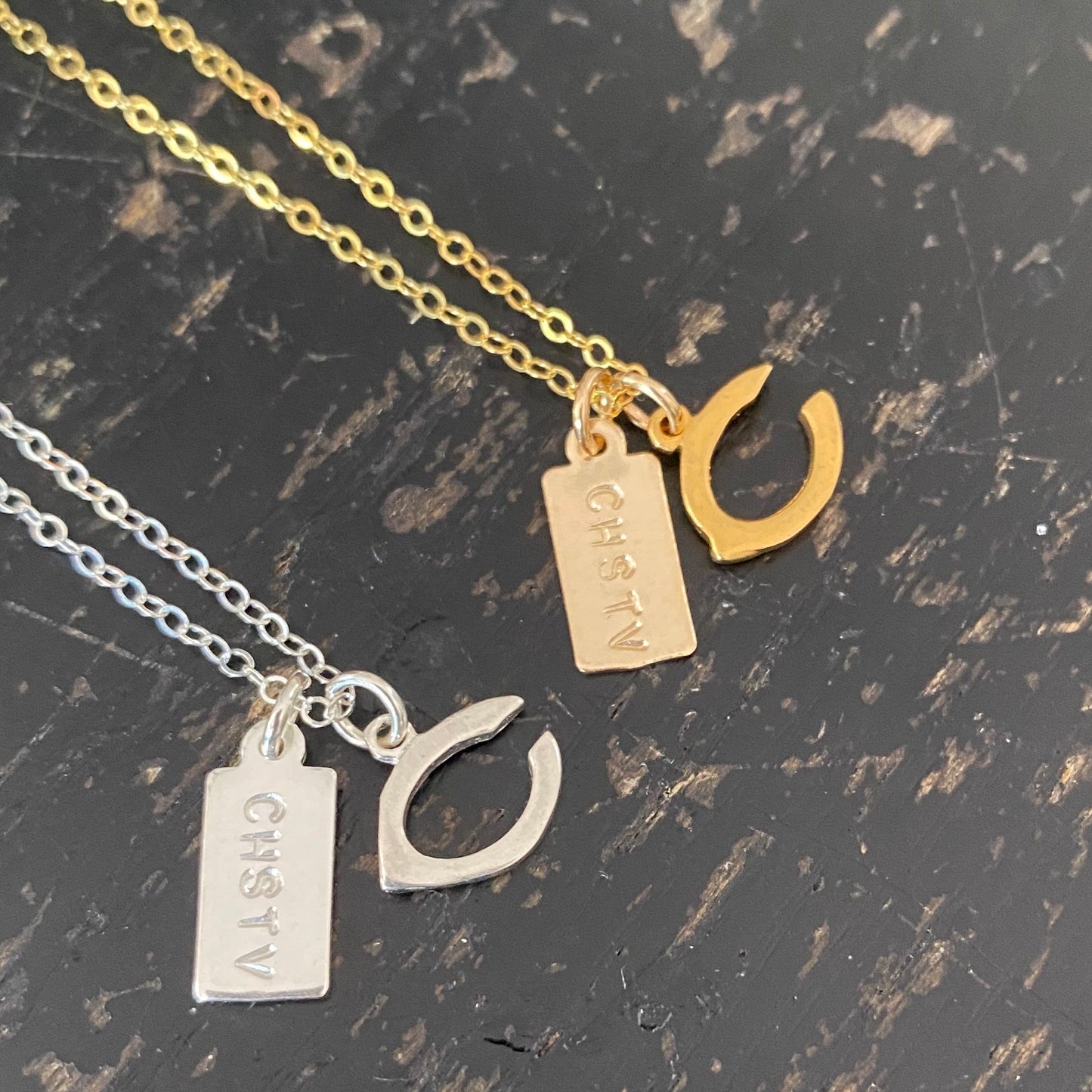 Carlsbad C with Tag Necklace